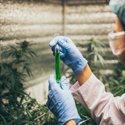 cbd-hemp-oil-hand-holding-bottle-of-cannabis-oil-against-marijuana-plant.jpg
